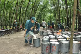 La Chine reste le plus grand débouché pour le caoutchouc du Vietnam