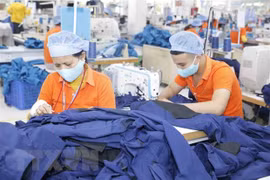 Le Chili devient le principal marché du Vietnam en Amérique latine