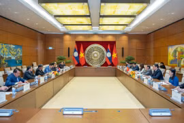 Les Assemblées nationales du Vietnam et du Laos consolident leurs liens 