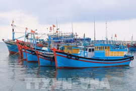 Pêche INN: les sanctions sévères seront renforcées