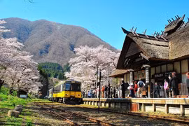Le Japon enregistre un afflux record de touristes vietnamiens en février