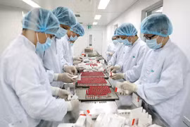Le Vietnam se prépare à accueillir de nouveaux investissements dans la médecine et la pharmacie