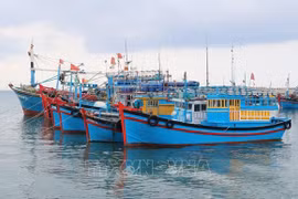 Efforts communs pour lutter contre la pêche INN
