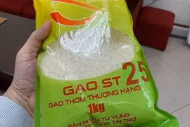 Le riz ST25 du Vietnam - Meilleur riz au monde pour la deuxième fois