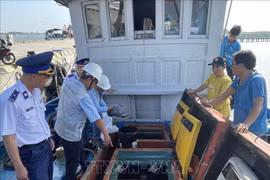 Ba Ria-Vung Tau : Traitement des violations des réglementations sur le système de surveillance des navires de pêche