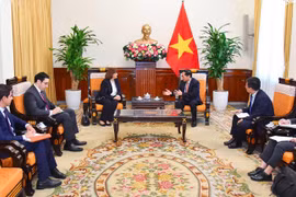 Vietnam et Egypte s'efforcent de porter le commerce bilatéral à un milliard de dollars