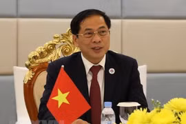 Le Vietnam et 69 pays unis contre les menaces liées aux drogues synthétiques