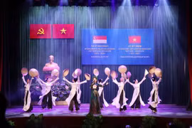 Le 50e anniversaire des relations Vietnam-Singapour célébré à Ho Chi Minh-Ville