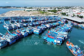 Une délégation de la CE reconnaît les efforts du Vietnam contre la pêche INN