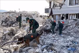 Le Vietnam accorde une aide de 200.000 USD à la Turquie et à la Syrie après le tremblement de terre