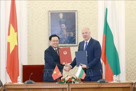Vietnam-Bulgarie: Entretien entre les présidents des Assemblées nationales 