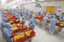 La filière fruitière et maraîchère vise 4 milliards de dollars d’exportations cette année 