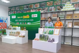 Hanoi se dotera de 5 à 9 centres de conception créative des produits OCOP