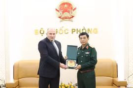 Le ministère russe des Situations d’urgence est prêt à partager ses expériences avec la partie vietnamienne