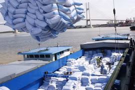 Les exportations du riz du Vietnam connaissent des conditions favorables
