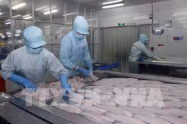 La valeur d’import-export des produits agro-sylvicoles et aquatiques en baisse de 5,9%