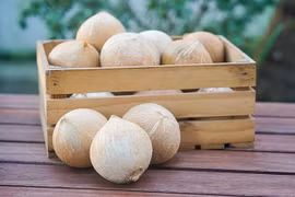 Les États-Unis délivrent un "visa" pour la noix de coco vietnamien