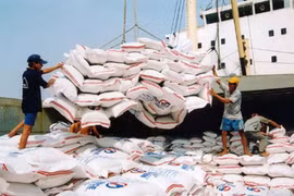 Les prix à l'exportation du riz au plus haut depuis 15 ans