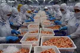  Les exportations de crevettes devraient rapporter 3,4 milliards de dollars cette année