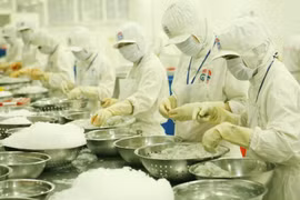 L’Europe du Nord, un marché prometteur pour les produits agricoles vietnamiens