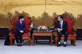 Da Nang promeut la coopération avec la province chinoise du Guangdong