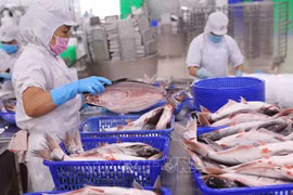 Les exportations de produits aquatiques ont atteint 1,85 milliard de dollars au premier trimestre