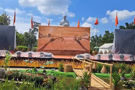Le plus grand tableau à base de riz ST du Vietnam établi à Soc Trang