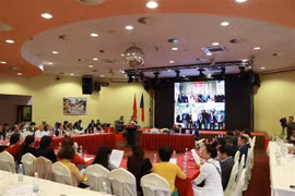 Les Vietnamiens de République tchèque promeuvent leur solidarité