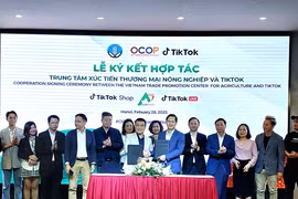Accélérer la transformation numérique des unités participant au programme OCOP