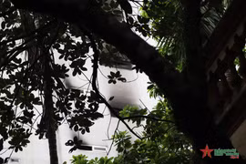 Le SG Nguyen Phu Trong envoie une lettre de sympathie suite à l'incendie survenu à Hanoï