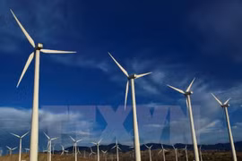 Vietnam-France : opportunités de coopération pour la croissance verte 