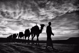 Un photographe vietnamien remporte cinq prix en Australie