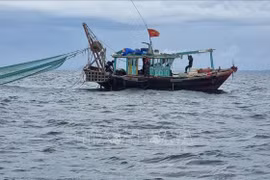 Quang Ninh confisquera les véhicules et produits de pêche illégaux à partir du 1er septembre
