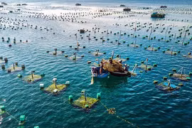 Le Vietnam et la Norvège promeuvent leur coopération dans l'aquaculture marine