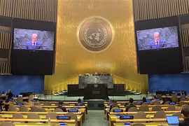 Le Vietnam soutient la réforme du Conseil de sécurité de l'ONU