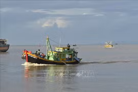 Lutte contre la pêche INN: Binh Thuan inspecte les exportations de produits aquatiques vers l'Europe