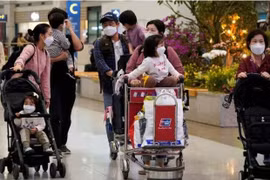 Les entreprises et touristes chinois saluent la relance des voyages de groupe au Vietnam 