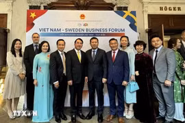 Lors du forum d'affaires Vietnam-Suède. Photo : VNA