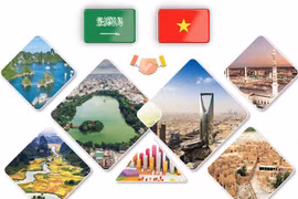 Promouvoir les relations de coopération Vietnam-Arabie saoudite 