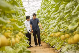 Pour le développement durable de l’industrie halal au Vietnam 