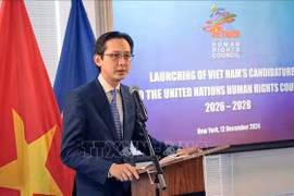 Le vice-ministre des Affaires étrangères, Do Hung Viet, s'exprime lors de la cérémonie. Photo : VNA