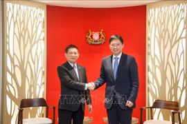 Le ministre vietnamien des Finances Ho Duc Phoc (gauche) rencontre Chee Hong Tat, deuxième ministre des Finances de Singapour. Photo : VNA