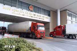 Les fruits et les légumes vietnamiens sont de plus en plus exportés vers la Chine. Photo : VNA