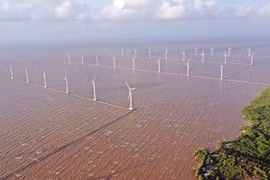 D'ici 2030, le Vietnam s'attend à avoir une puissance d'éolien offshore d'environ 6.000 MW ou même plus. Photo : baodautu.vn