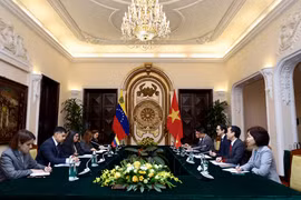 La 10e consultation politique entre les ministères des Affaires étrangères du Vietnam et du Venezuela a eu lieu le 16 décembre à Hanoï. Photo : VNA