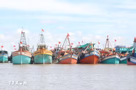Bac Lieu considère la lutte contre la pêche INN comme une tâche importante à long terme pour le développement durable du secteur de la pêche. Photo : VNA