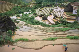 Des rizières en terrasses de la commune de Khun Ha, district de Tam Duong, province de Lai Chau en saison de mise en eau. Photo : VNA