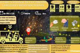 Le Parc national de Cuc Phuong lance les visites nocturnes