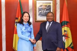 La vice-présidente Vo Thi Anh Xuan rencontre le président mozambicain Filipe Nyusi lors de sa visite officielle au Mozambique le 12 septembre 2023. (Photo : VNA)