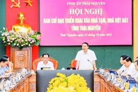 Photo : nhandan.vn